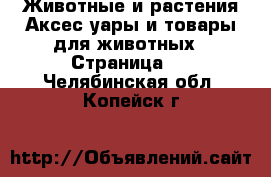 Животные и растения Аксесcуары и товары для животных - Страница 2 . Челябинская обл.,Копейск г.